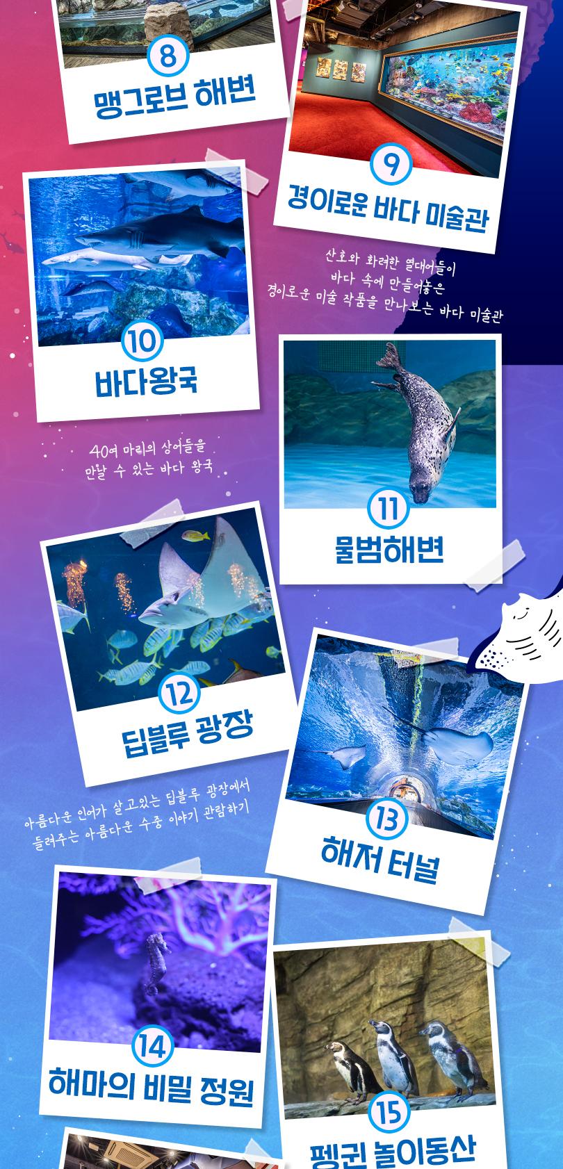 상품 상세 이미지 11