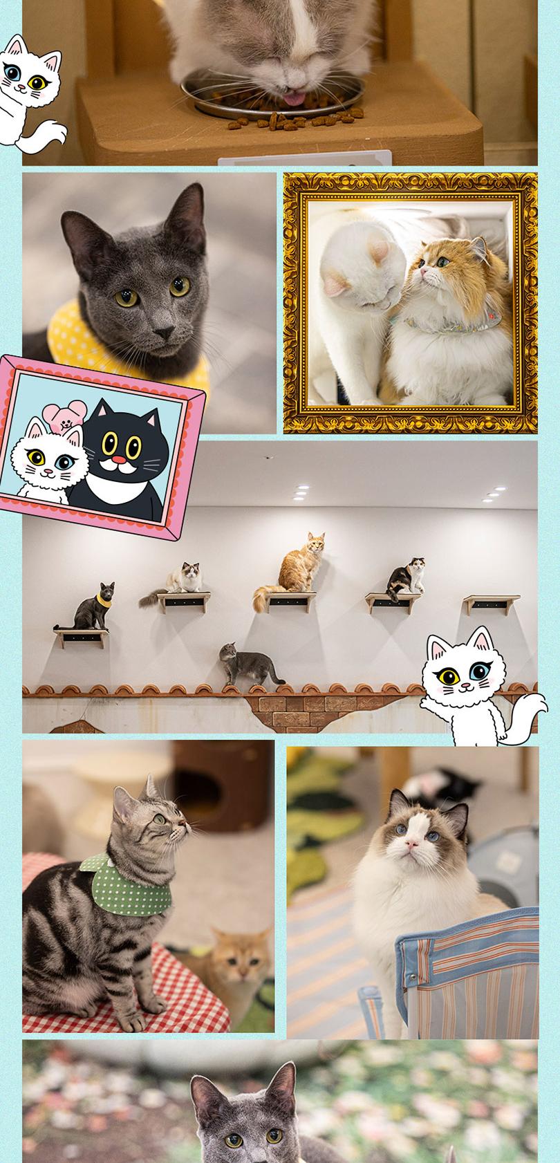 상품 상세 이미지 7