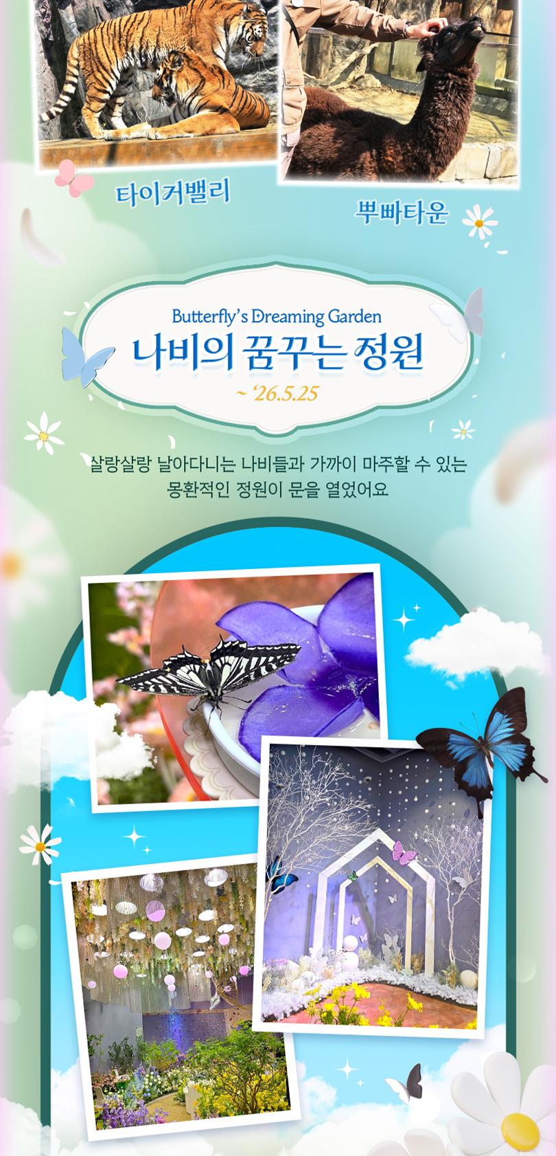 상품 상세 이미지 15