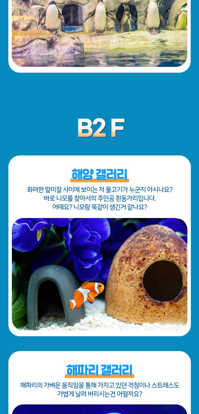 상품 상세 이미지 19