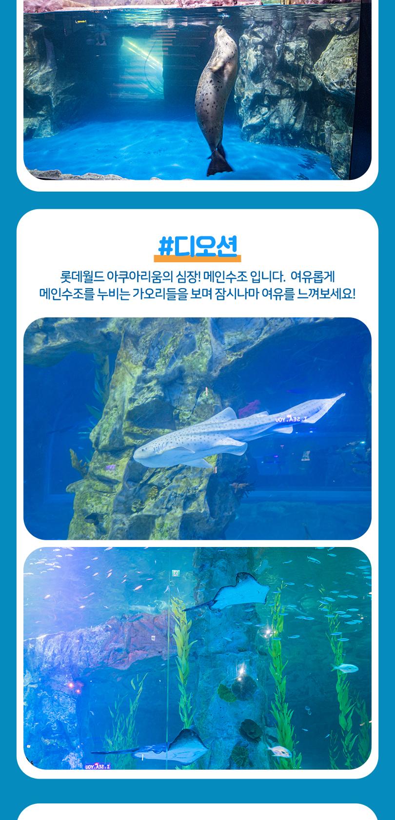 상품 상세 이미지 15