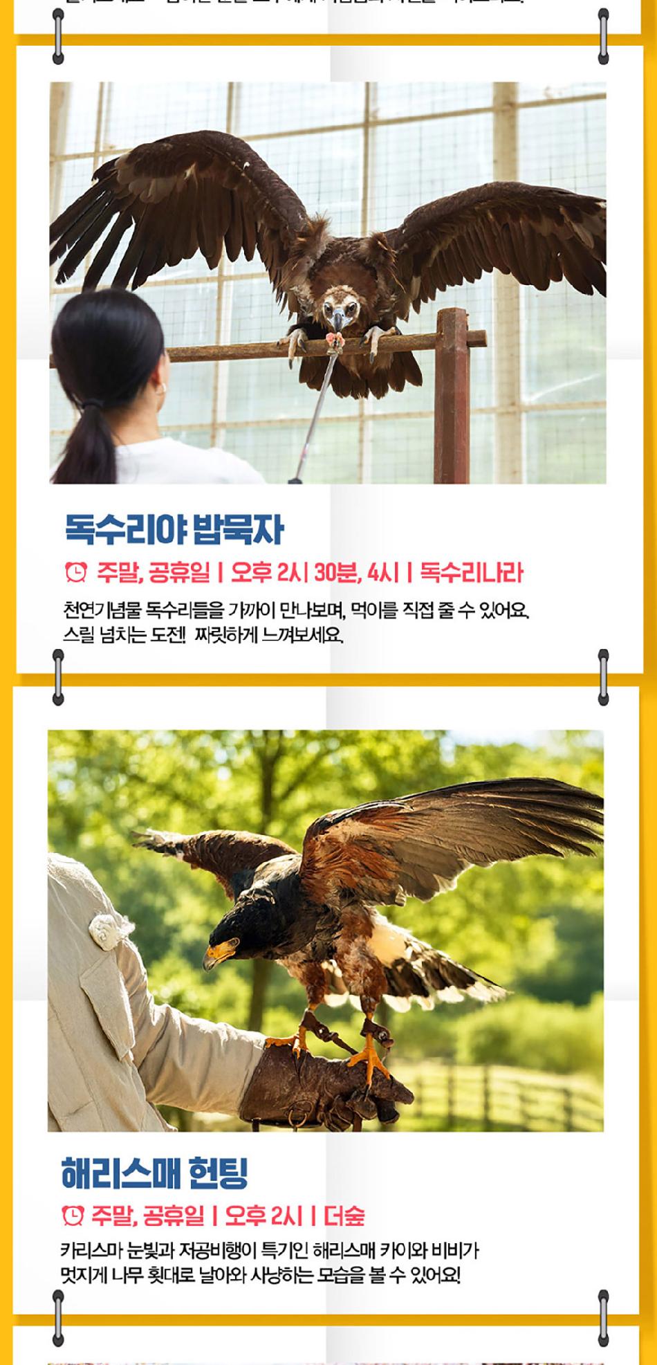 상품 상세 이미지 7