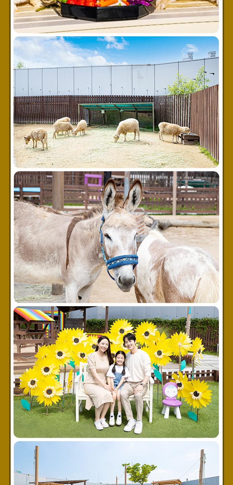 상품 상세 이미지 15