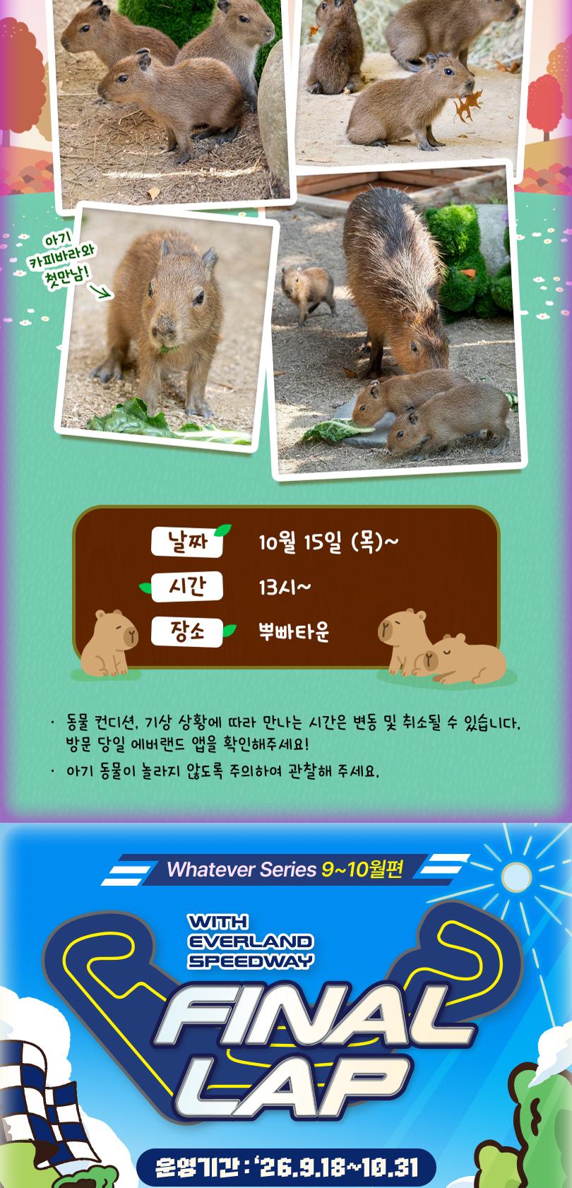 상품 상세 이미지 6