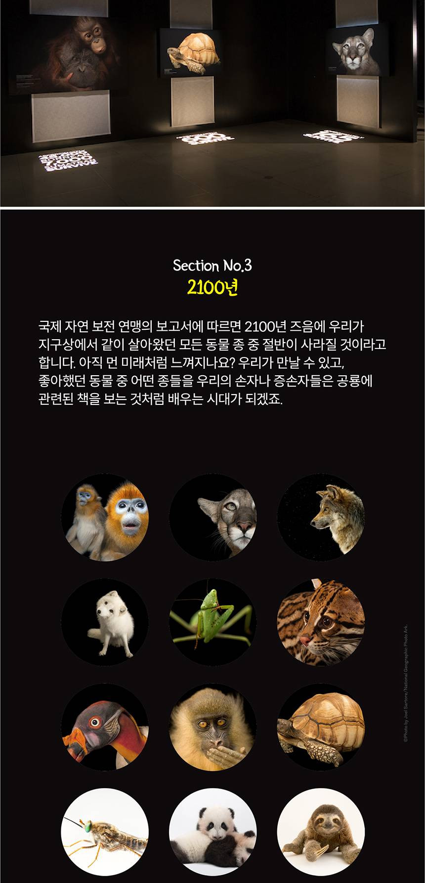 상품 상세 이미지 9