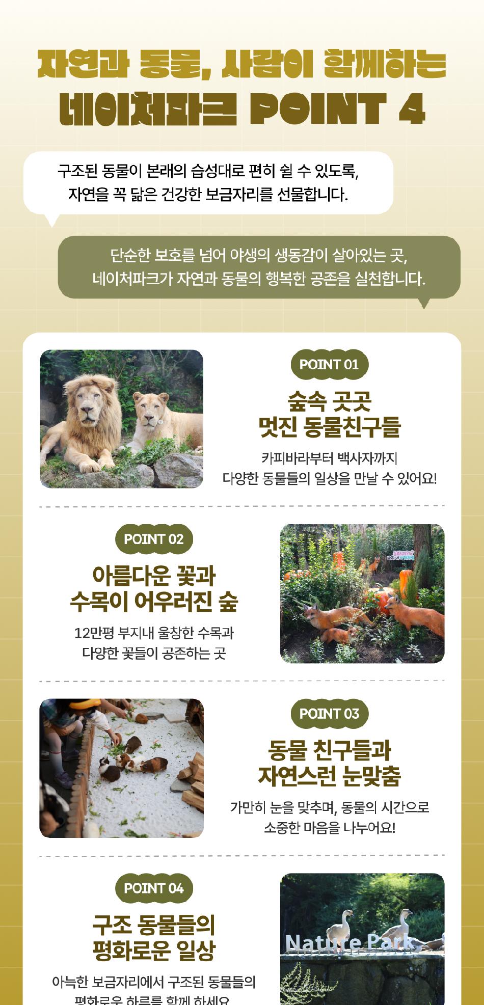 상품 상세 이미지 11