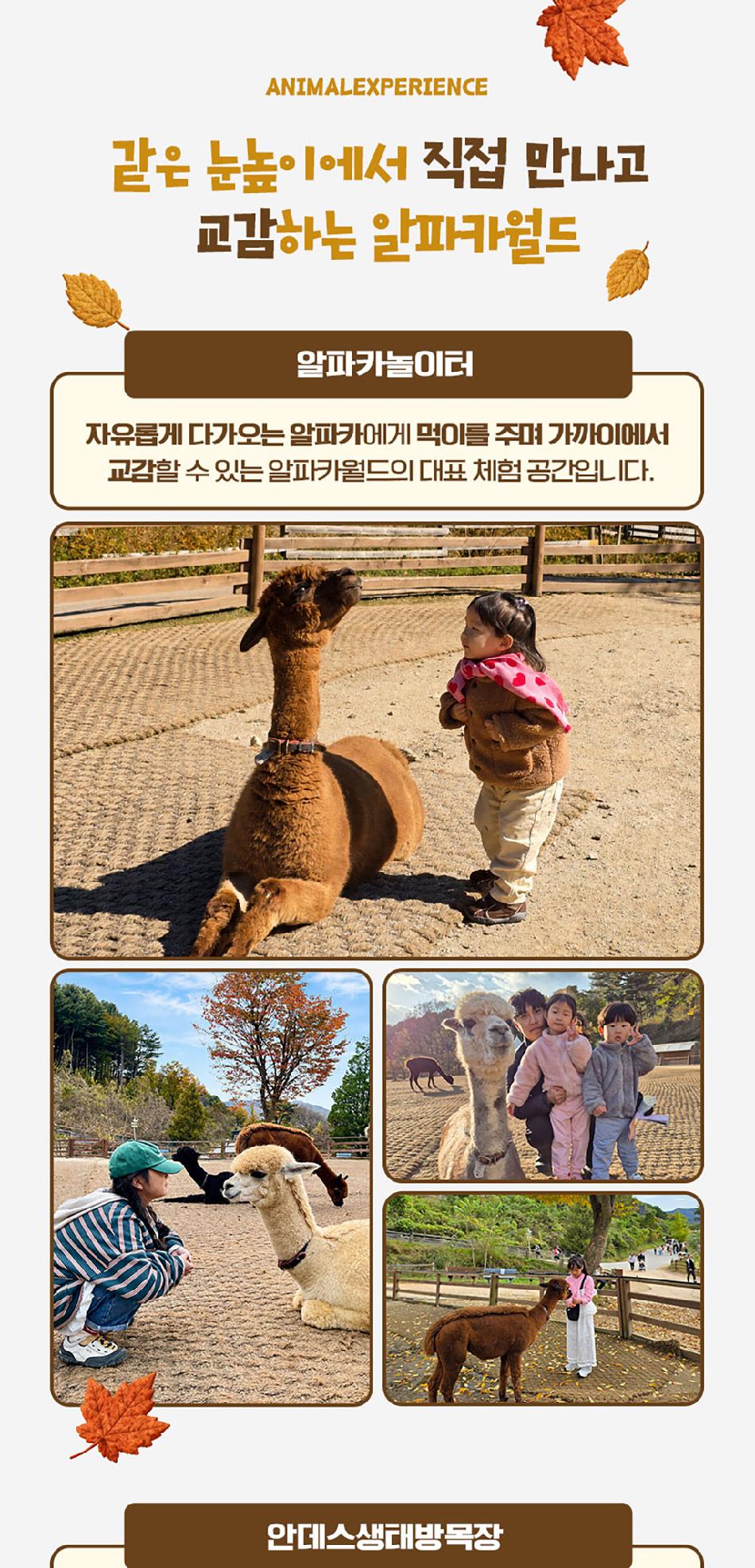 상품 상세 이미지 9