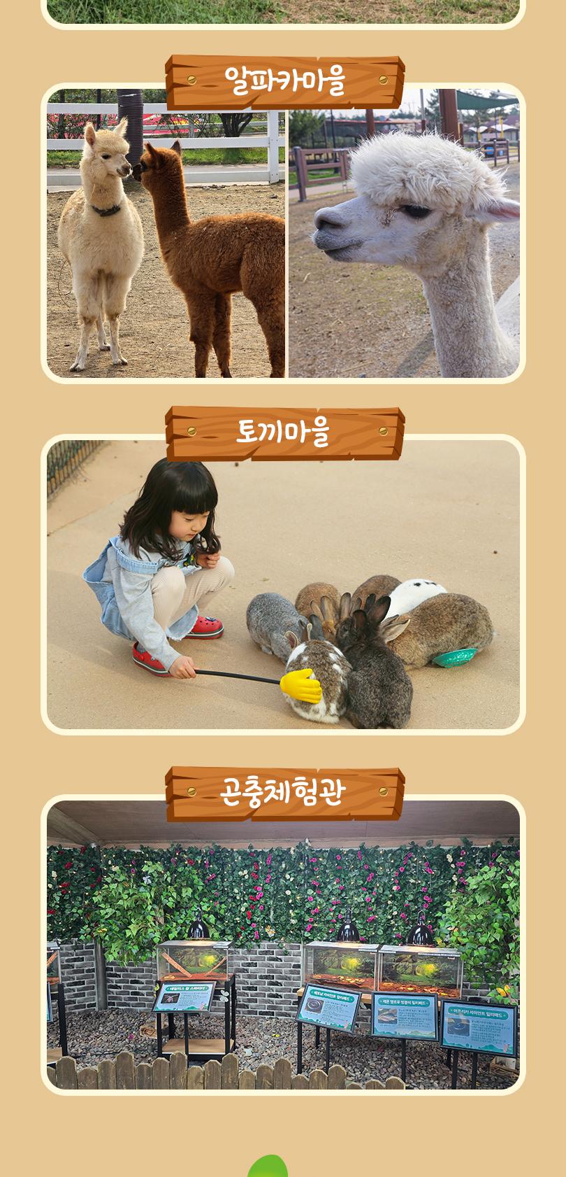 안성팜랜드 입장권(11/2~11/30 이용가능)
