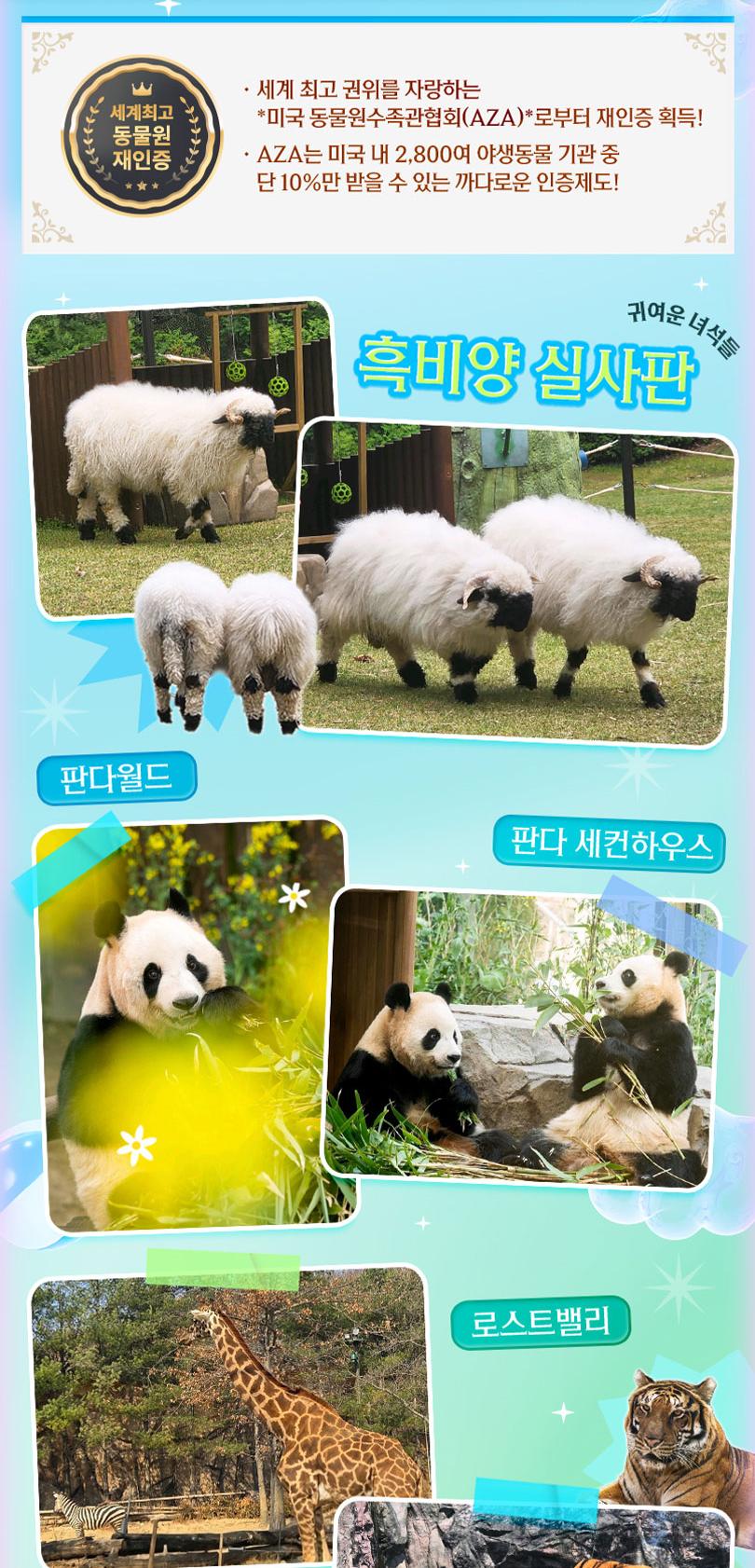 상품 상세 이미지 7