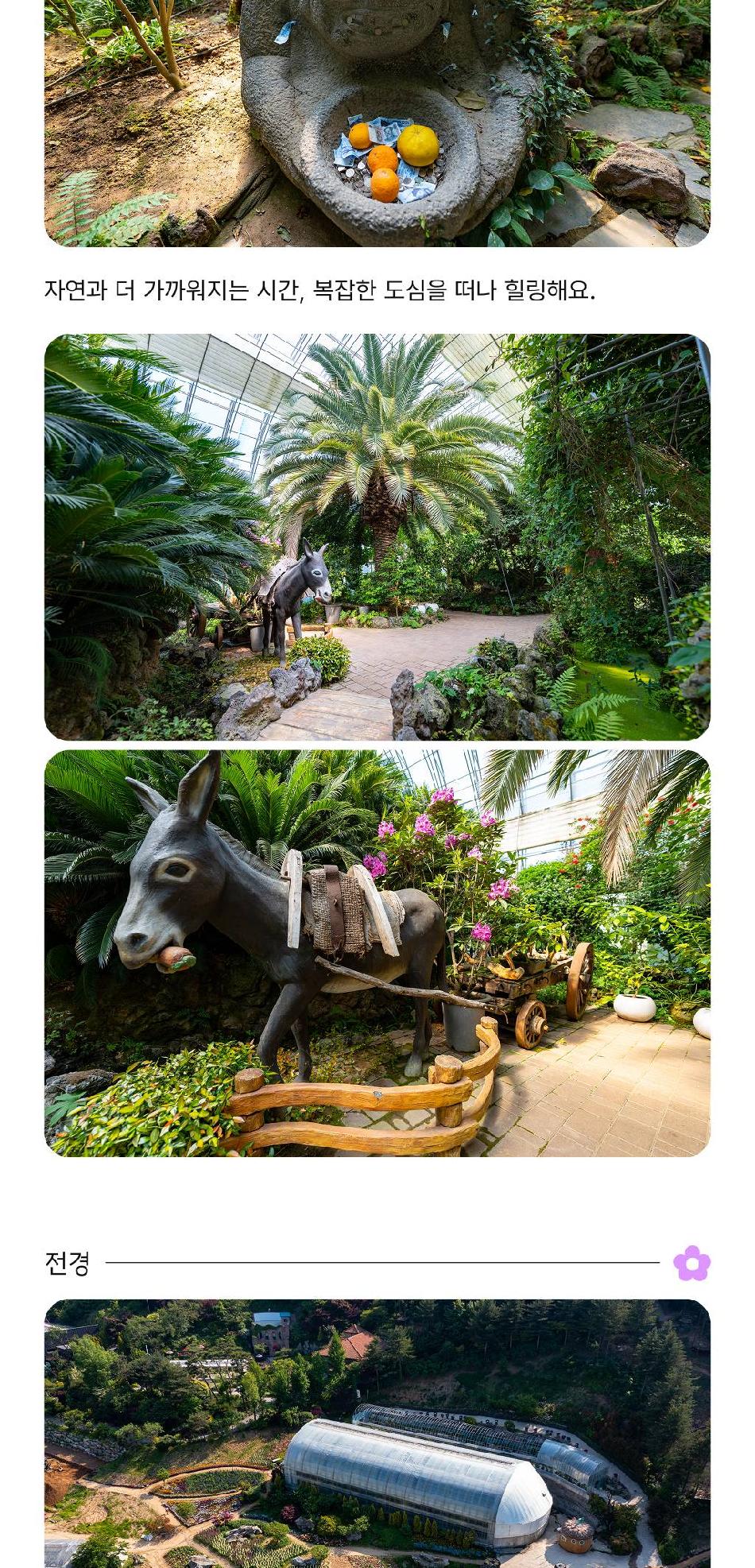 상품 상세 이미지 8