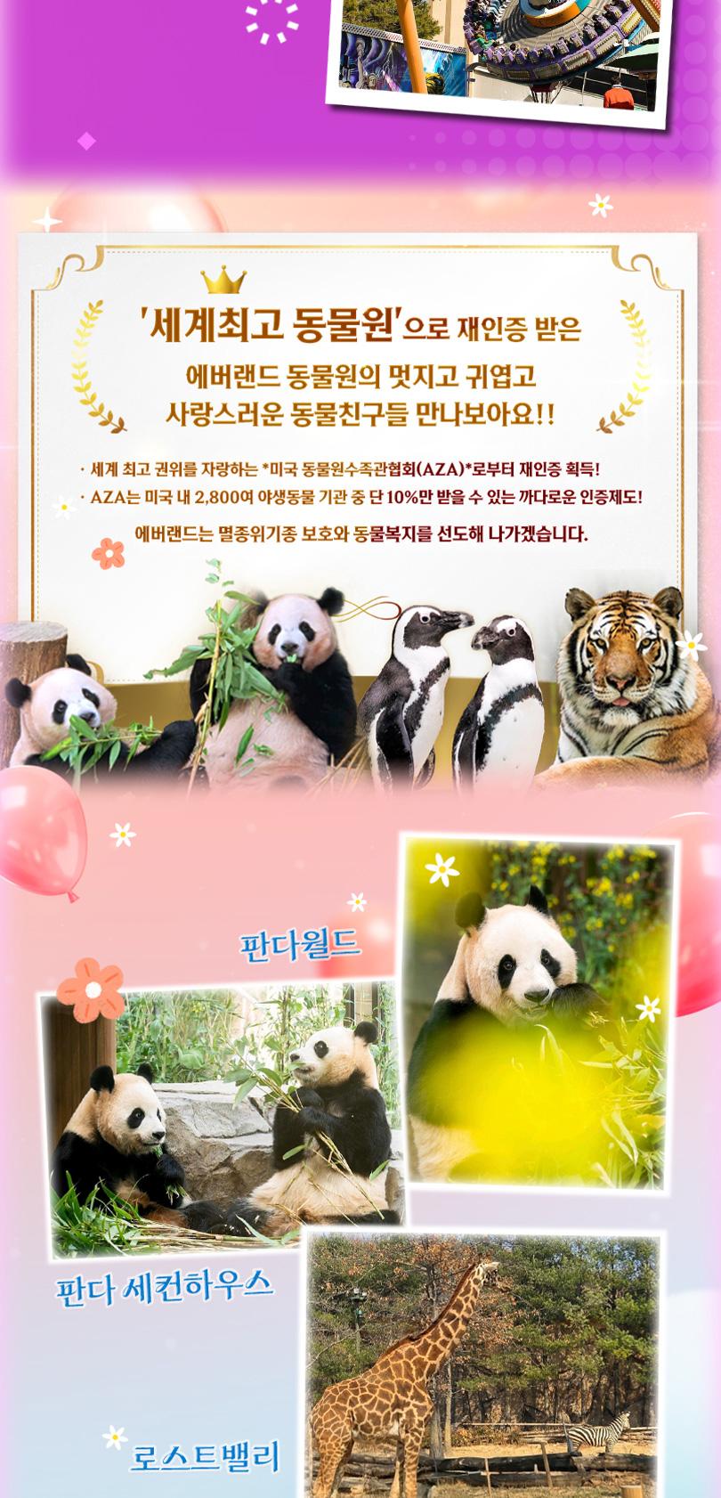 상품 상세 이미지 11