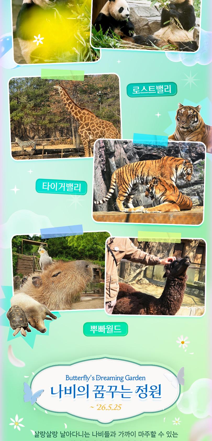 상품 상세 이미지 13
