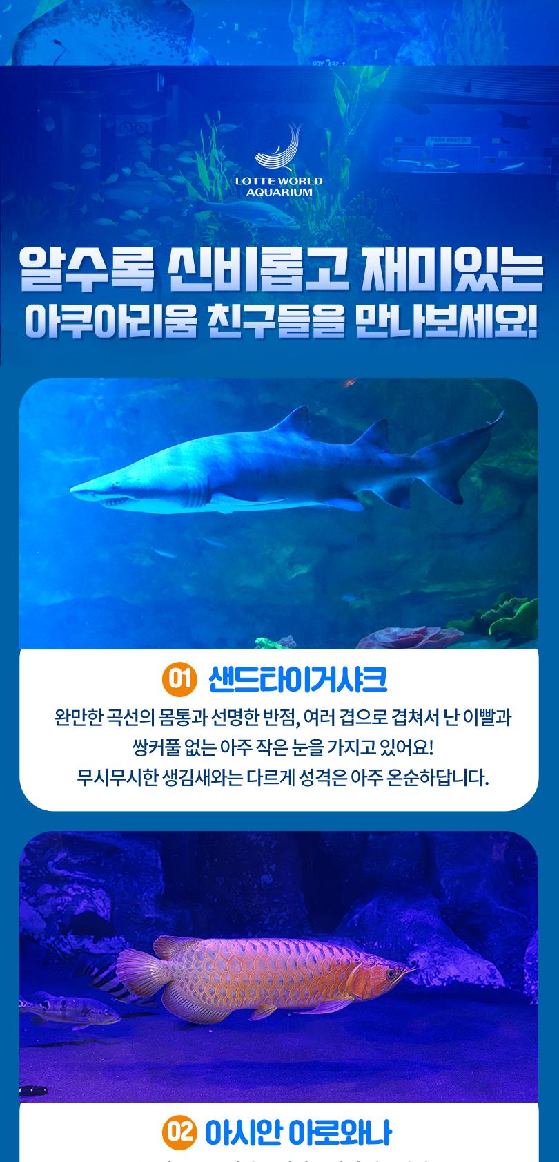 상품 상세 이미지 8