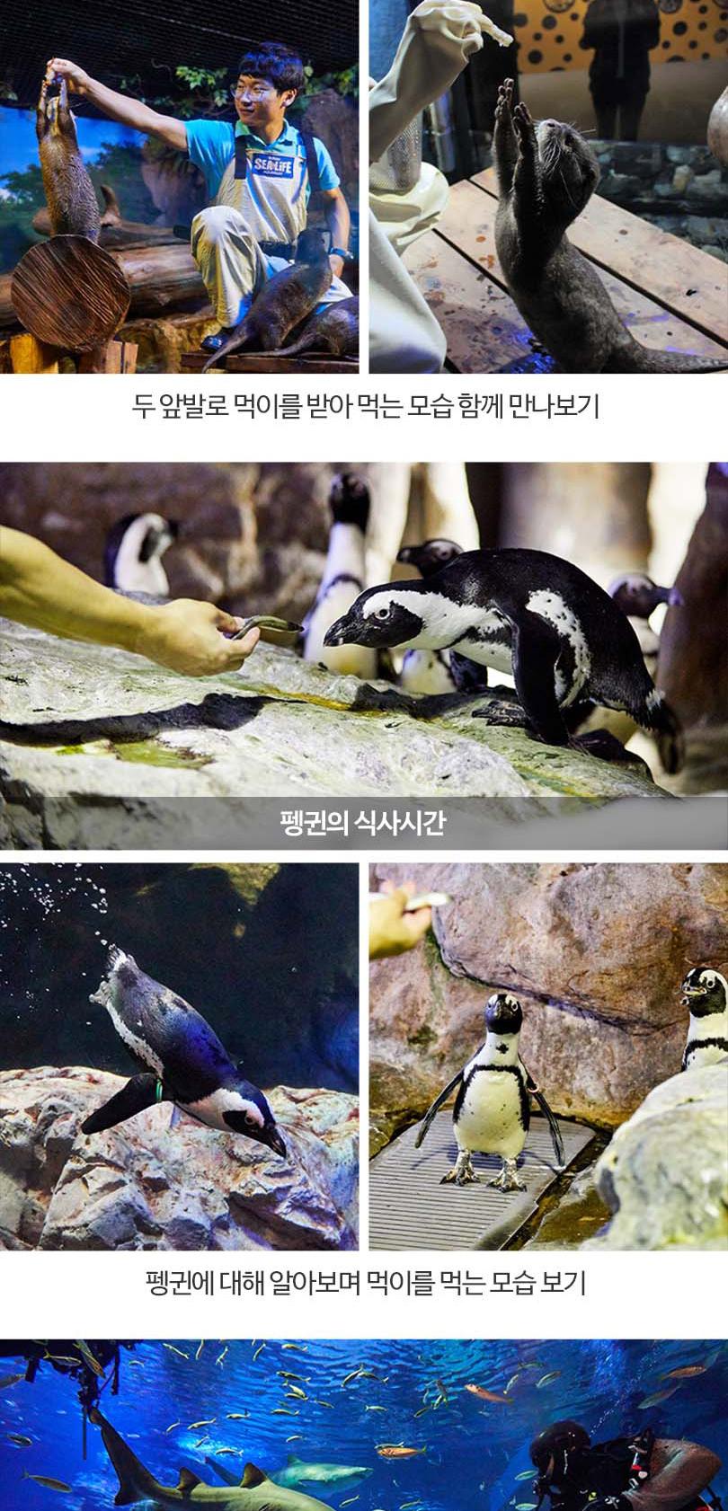상품 상세 이미지 16