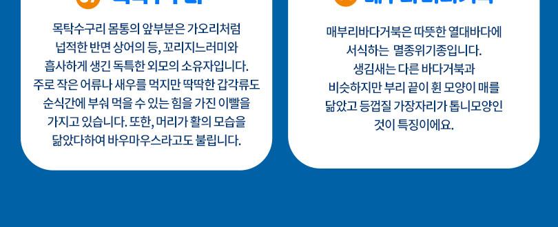 롯데월드 아쿠아리움+서울스카이PKG