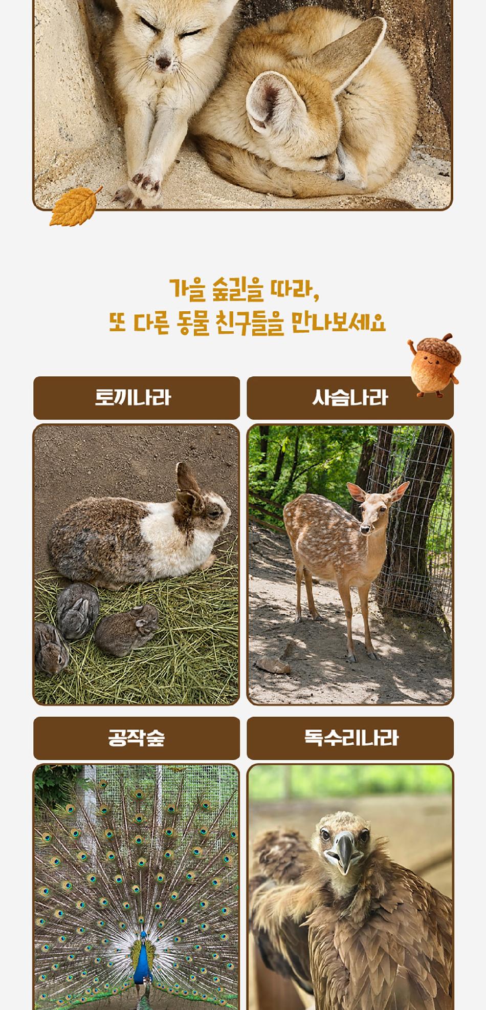 상품 상세 이미지 10