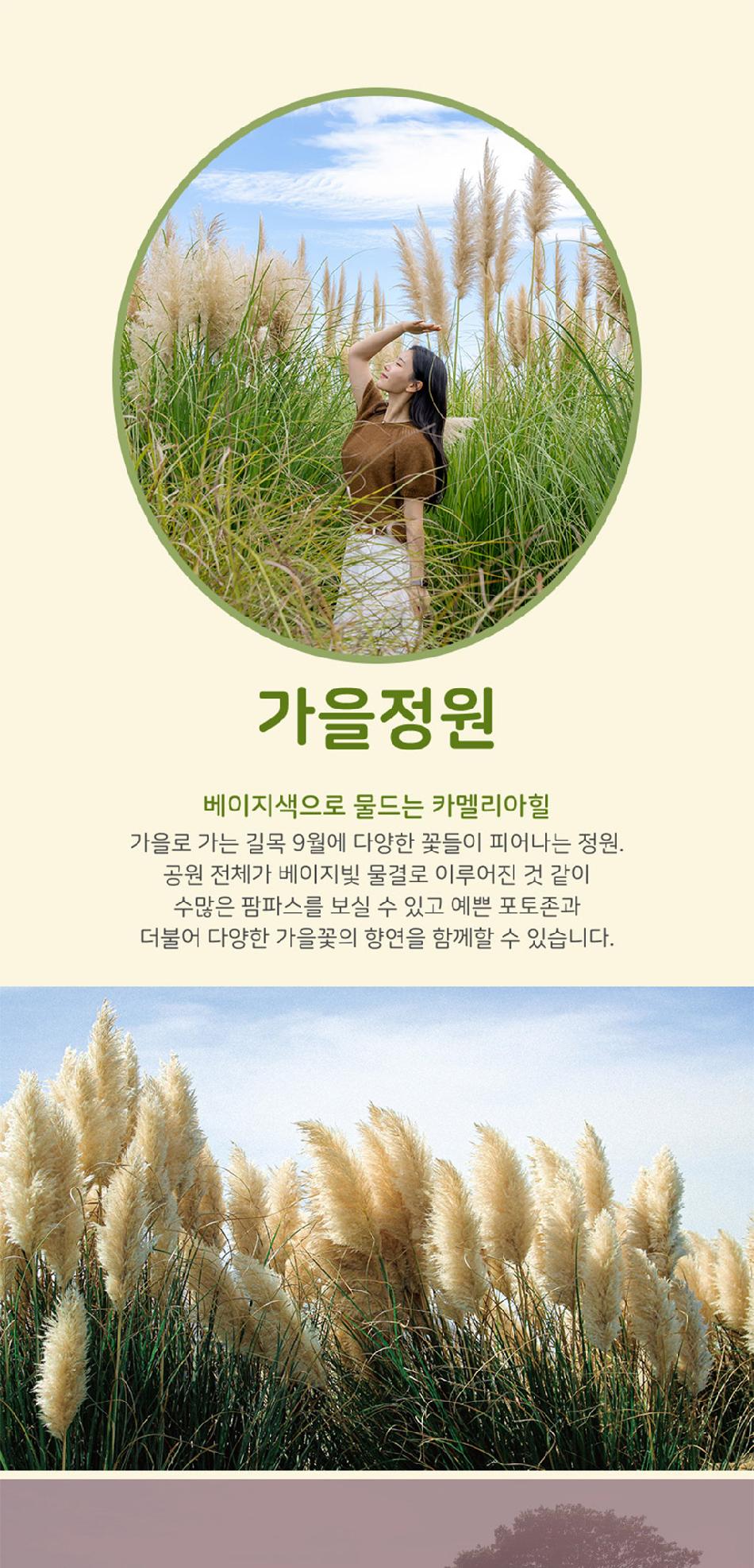 상품 상세 이미지 11