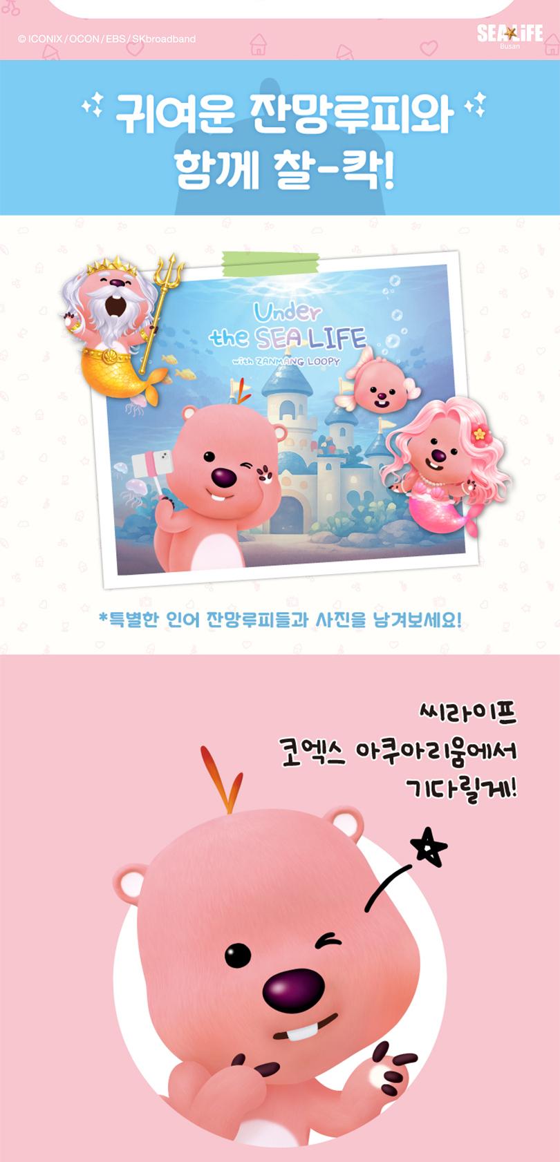 상품 상세 이미지 5