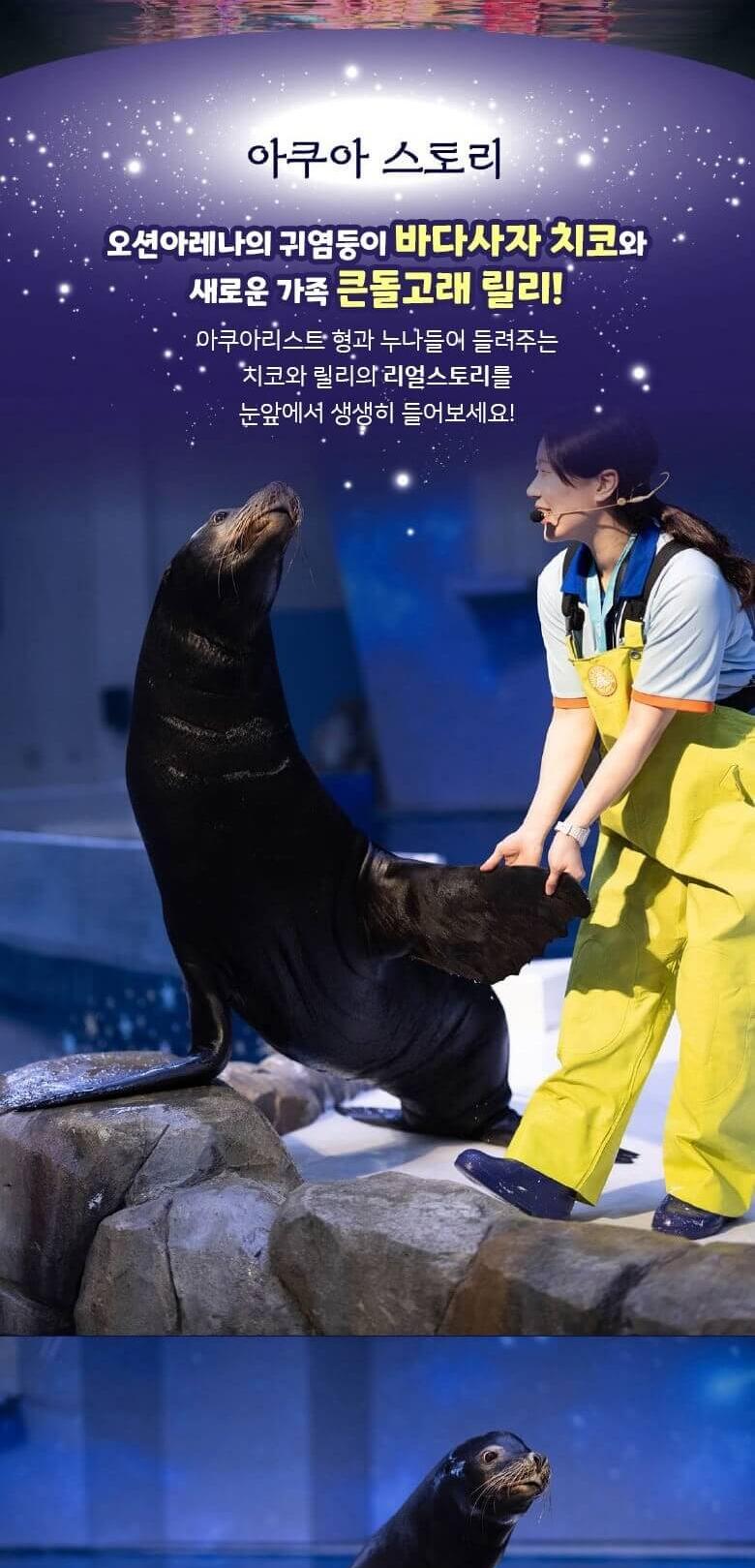 상품 상세 이미지 10