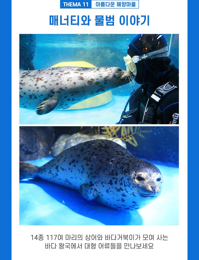 상품 상세 이미지 8