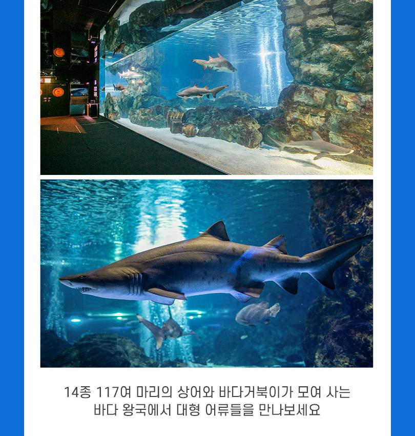 상품 상세 이미지 11
