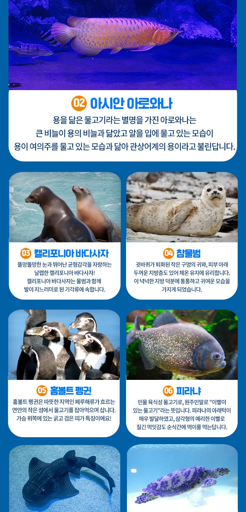 상품 상세 이미지 10