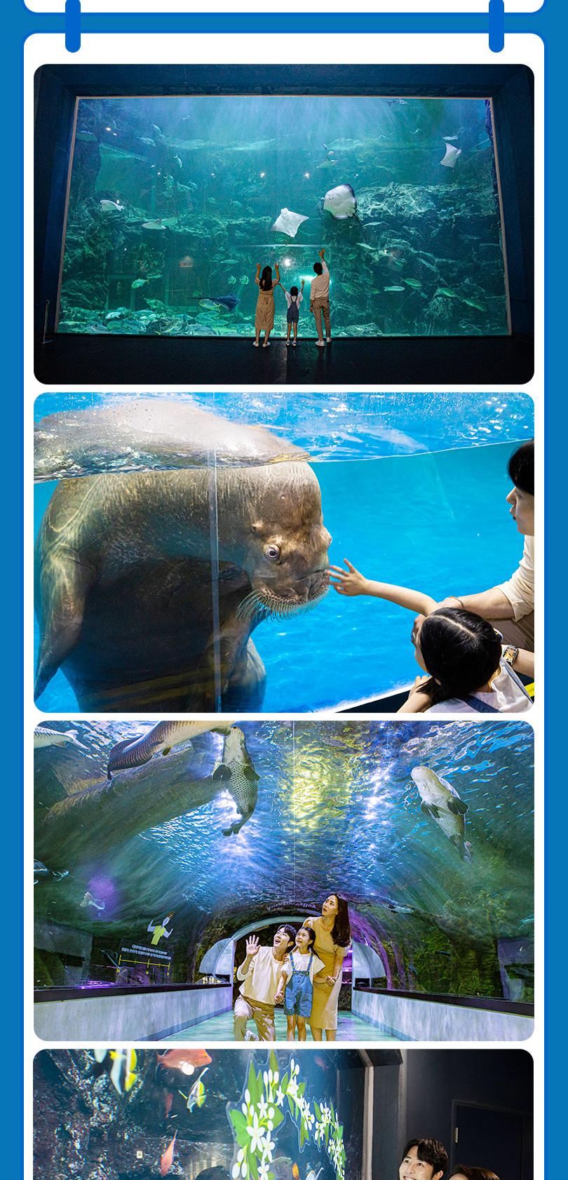 상품 상세 이미지 7