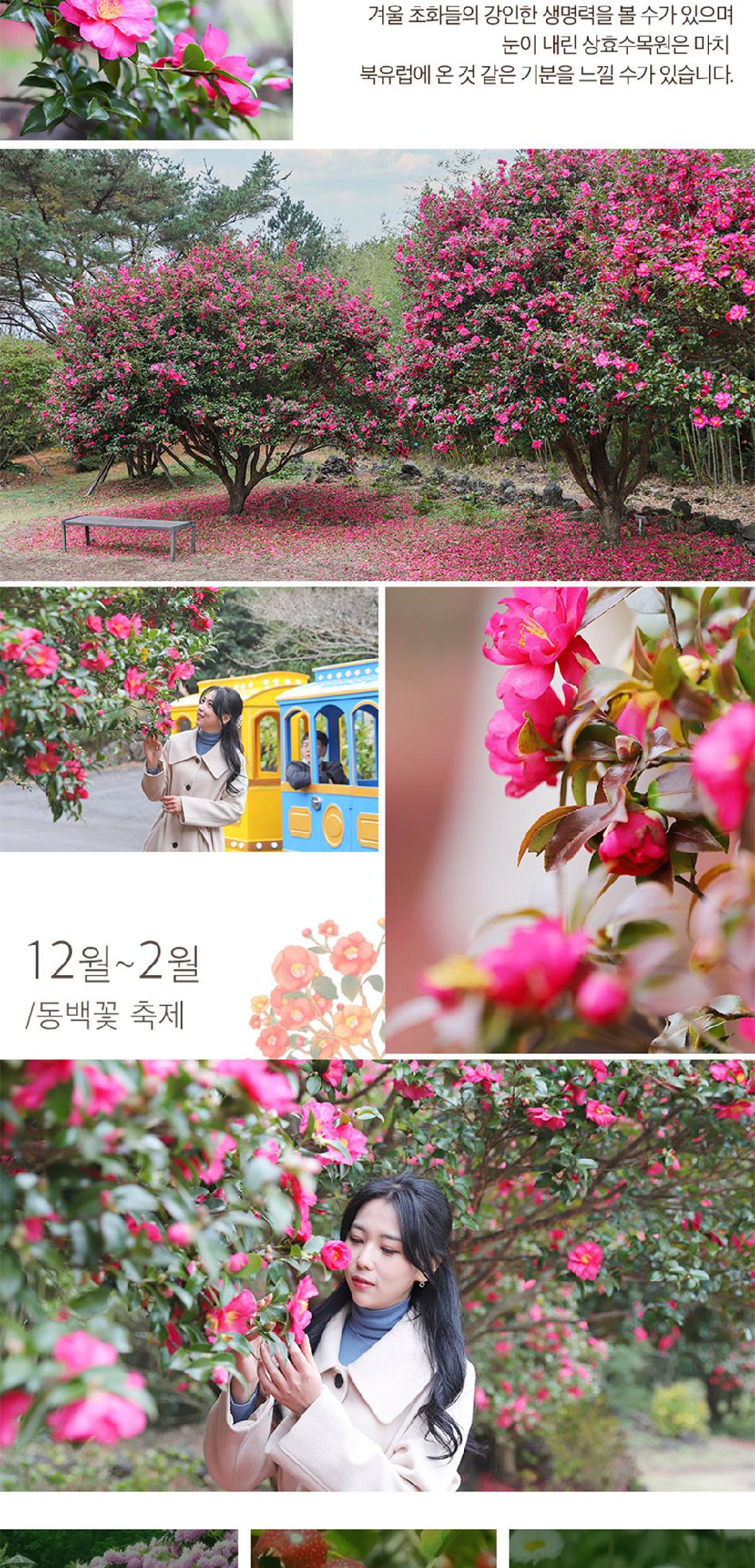 상품 상세 이미지 13