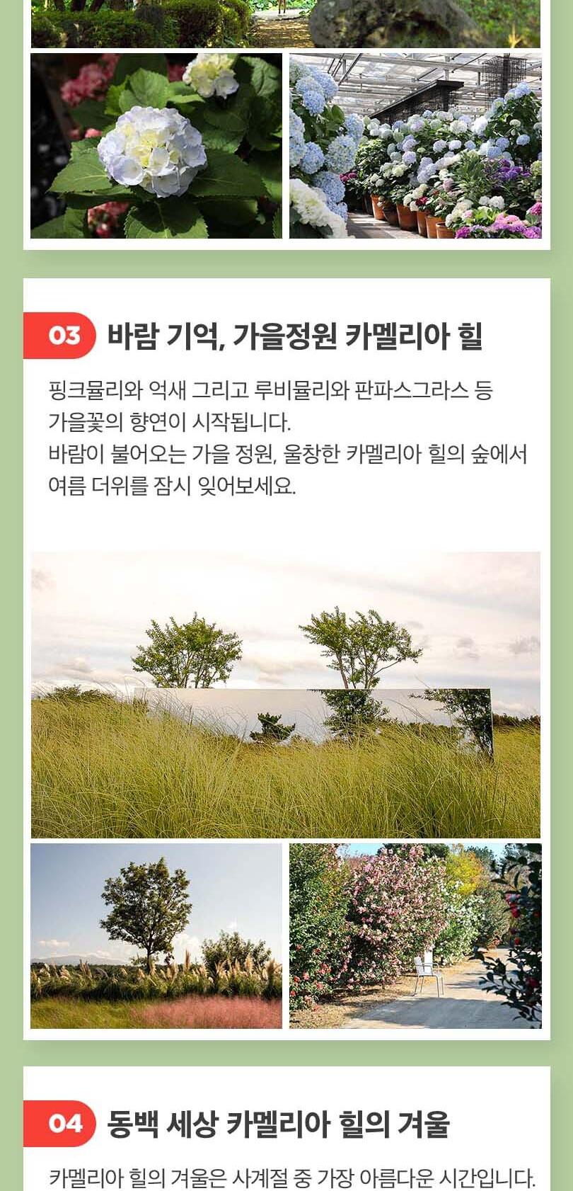 상품 상세 이미지 6