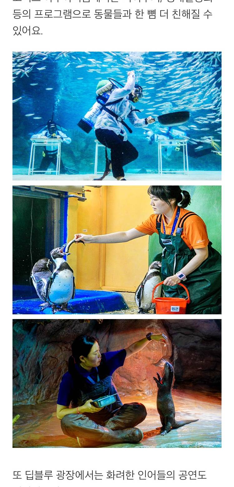 상품 상세 이미지 8