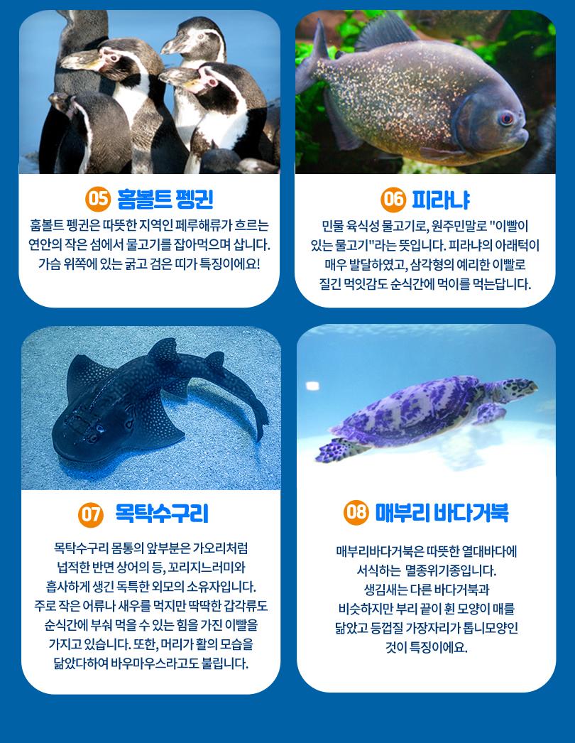 상품 상세 이미지 11