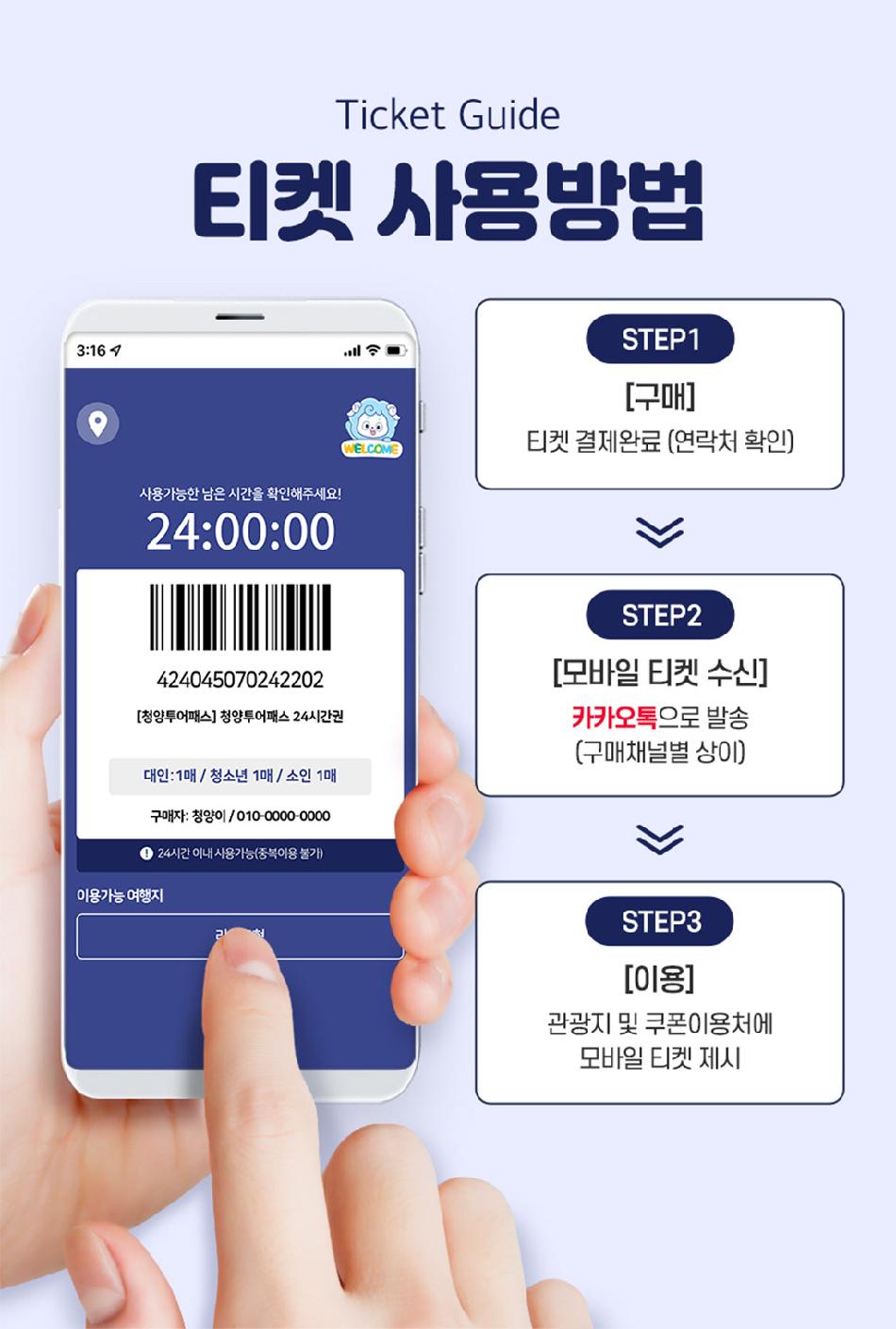웹투어 일일투어, 국내입장권, 해외입장권