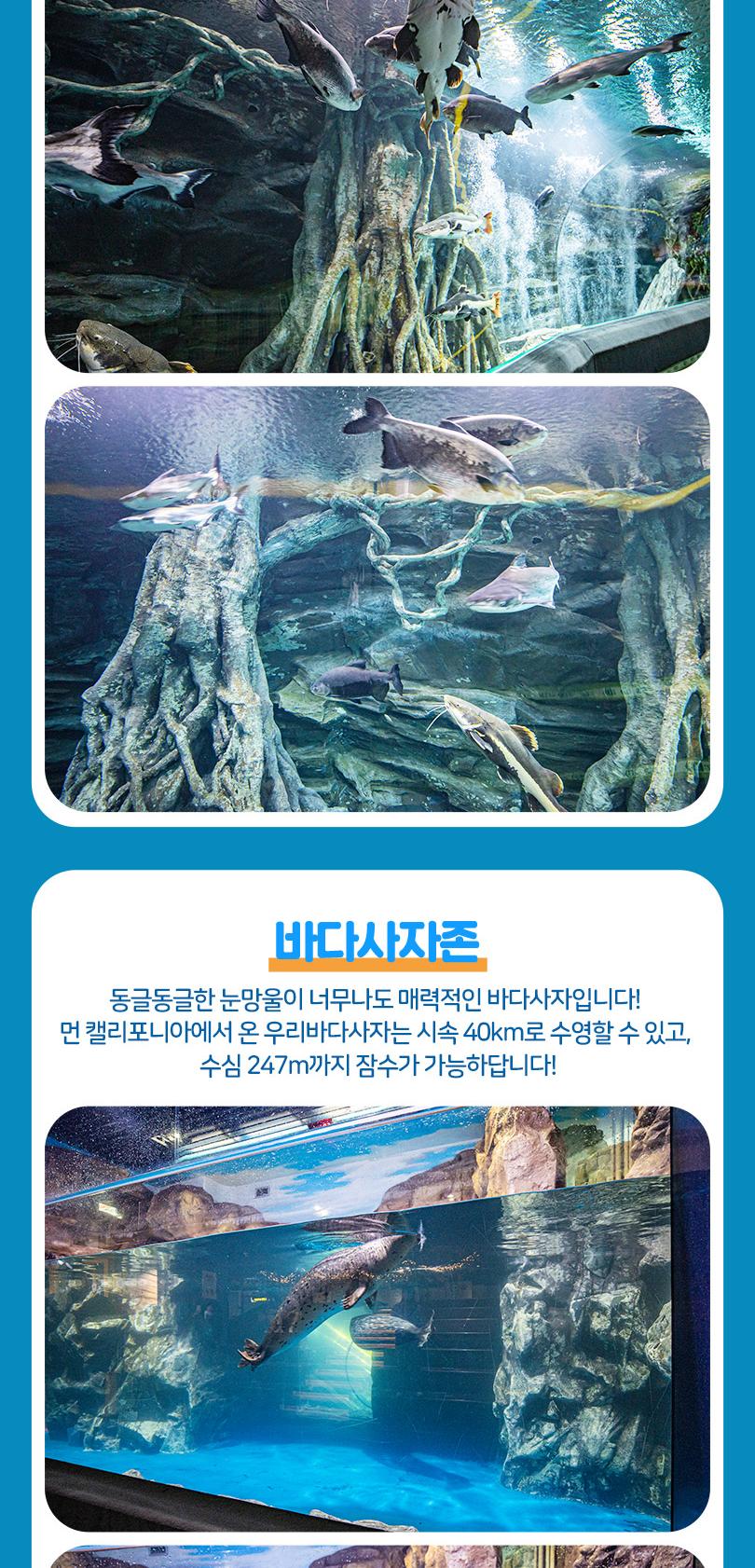 상품 상세 이미지 13