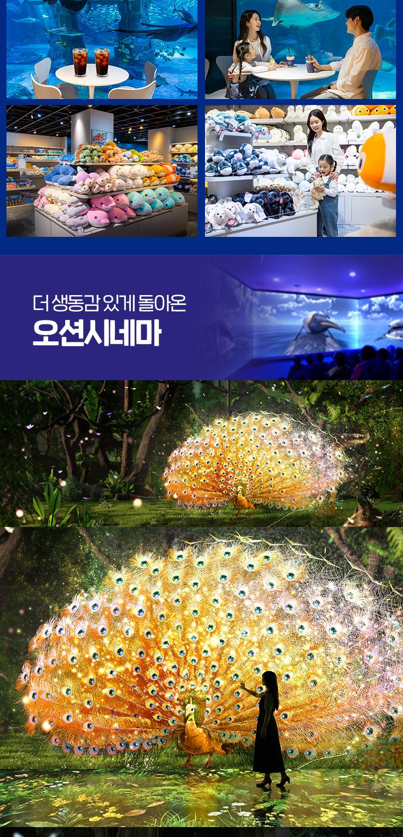 상품 상세 이미지 12