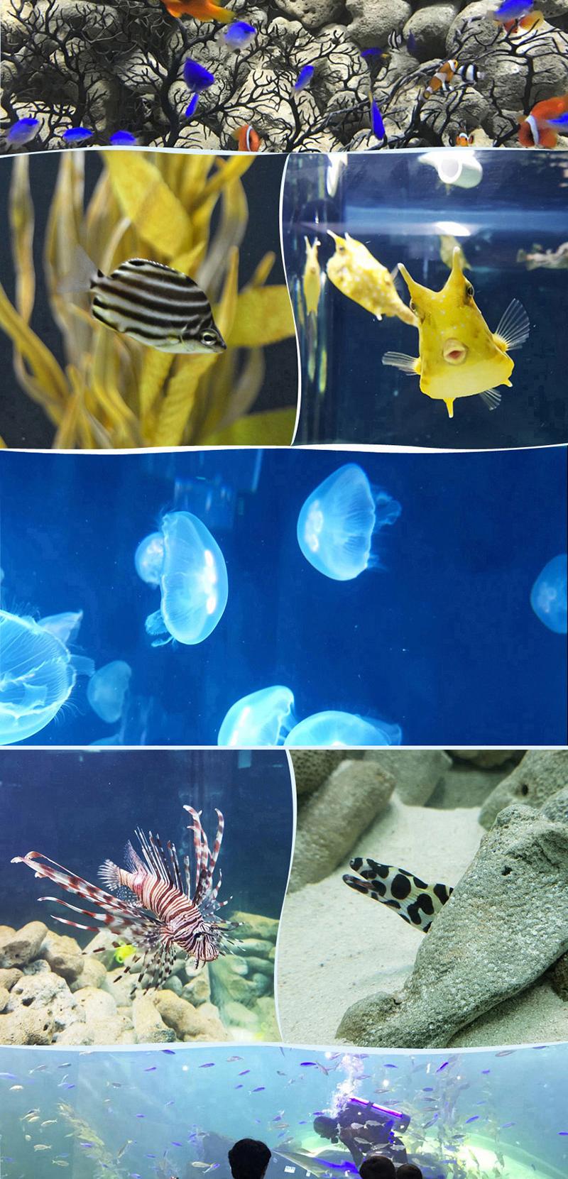 상품 상세 이미지 4