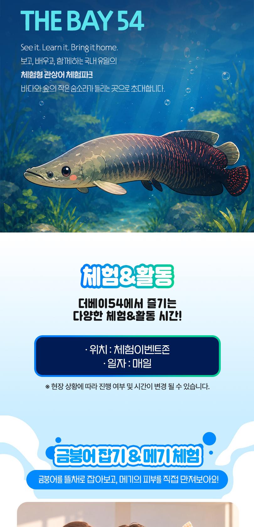 시흥 거북섬 더베이54 아쿠아리움 체험형 관상어 테마파크
