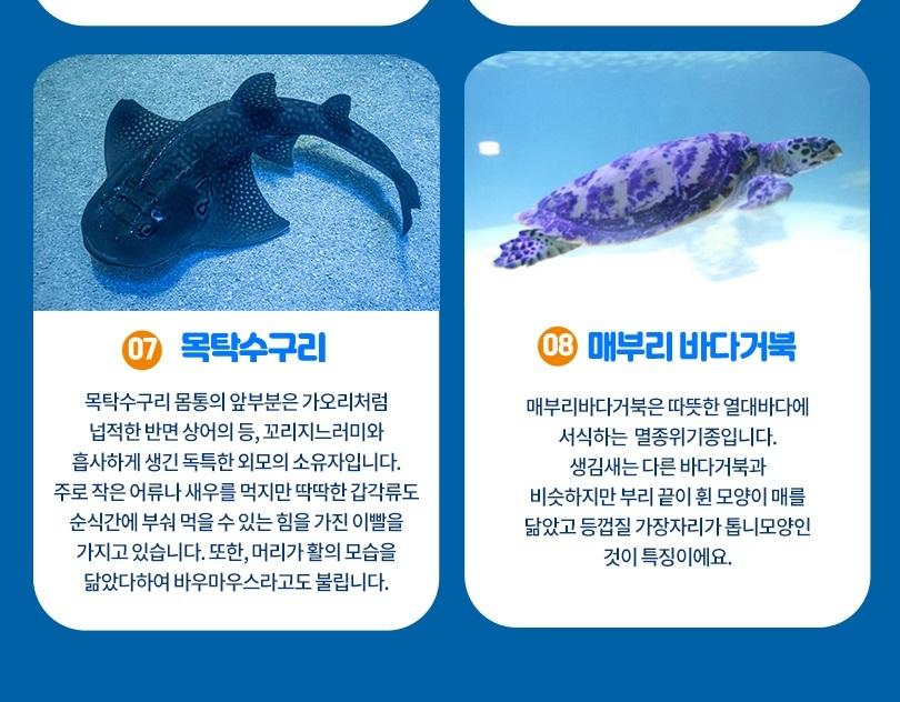상품 상세 이미지 9