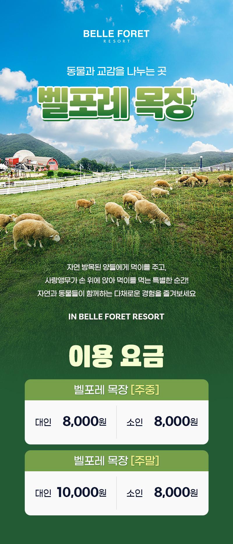 상품 상세 이미지 1