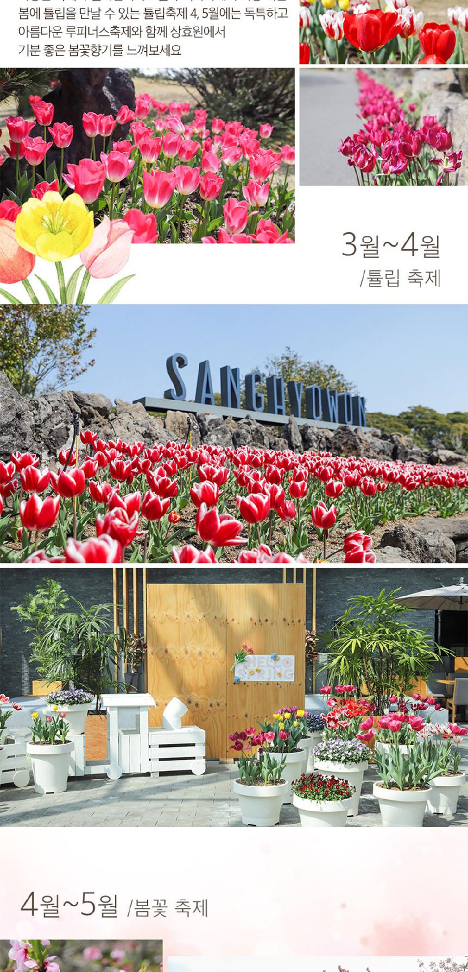 상품 상세 이미지 8