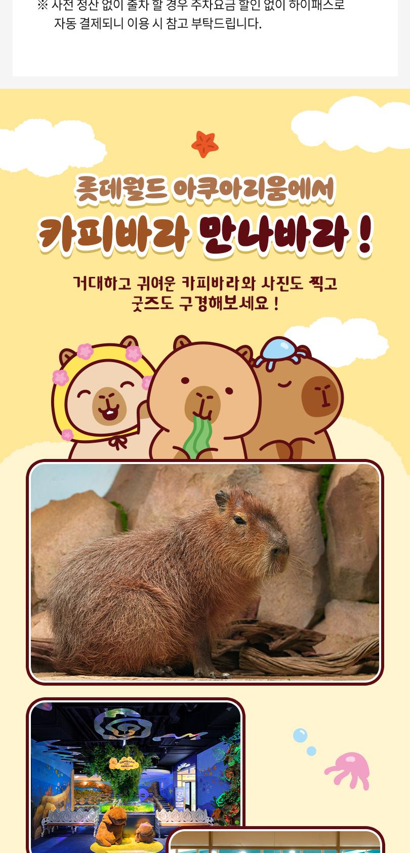 롯데월드 아쿠아리움&서울스카이 입장권