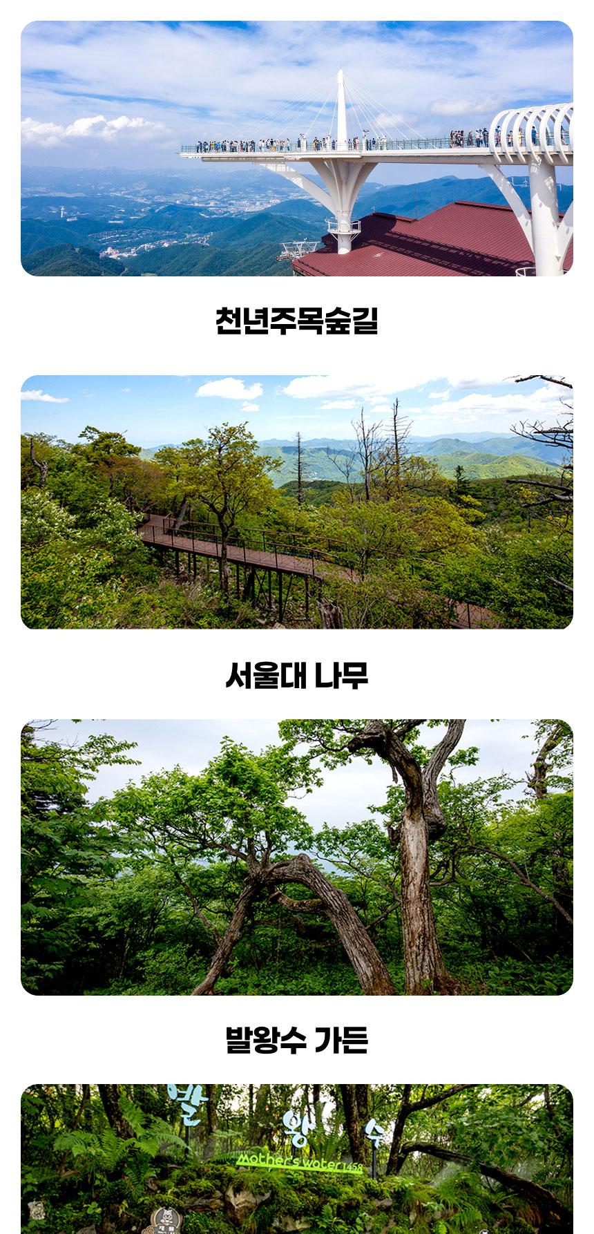 상품 상세 이미지 5