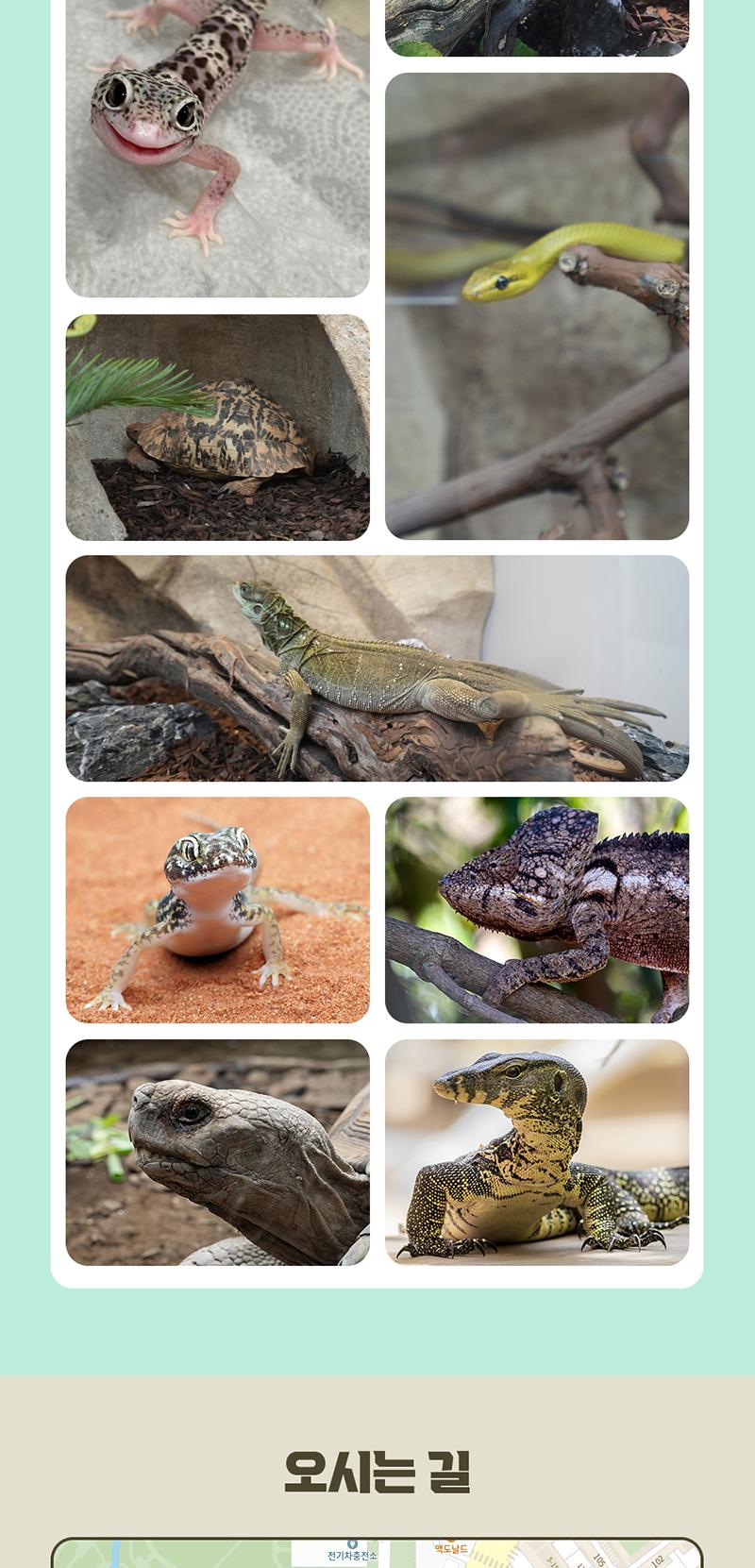 상품 상세 이미지 5