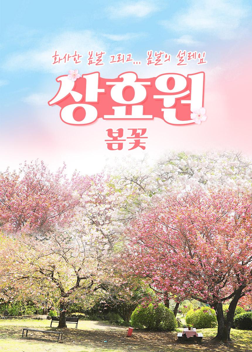 상품 상세 이미지 3