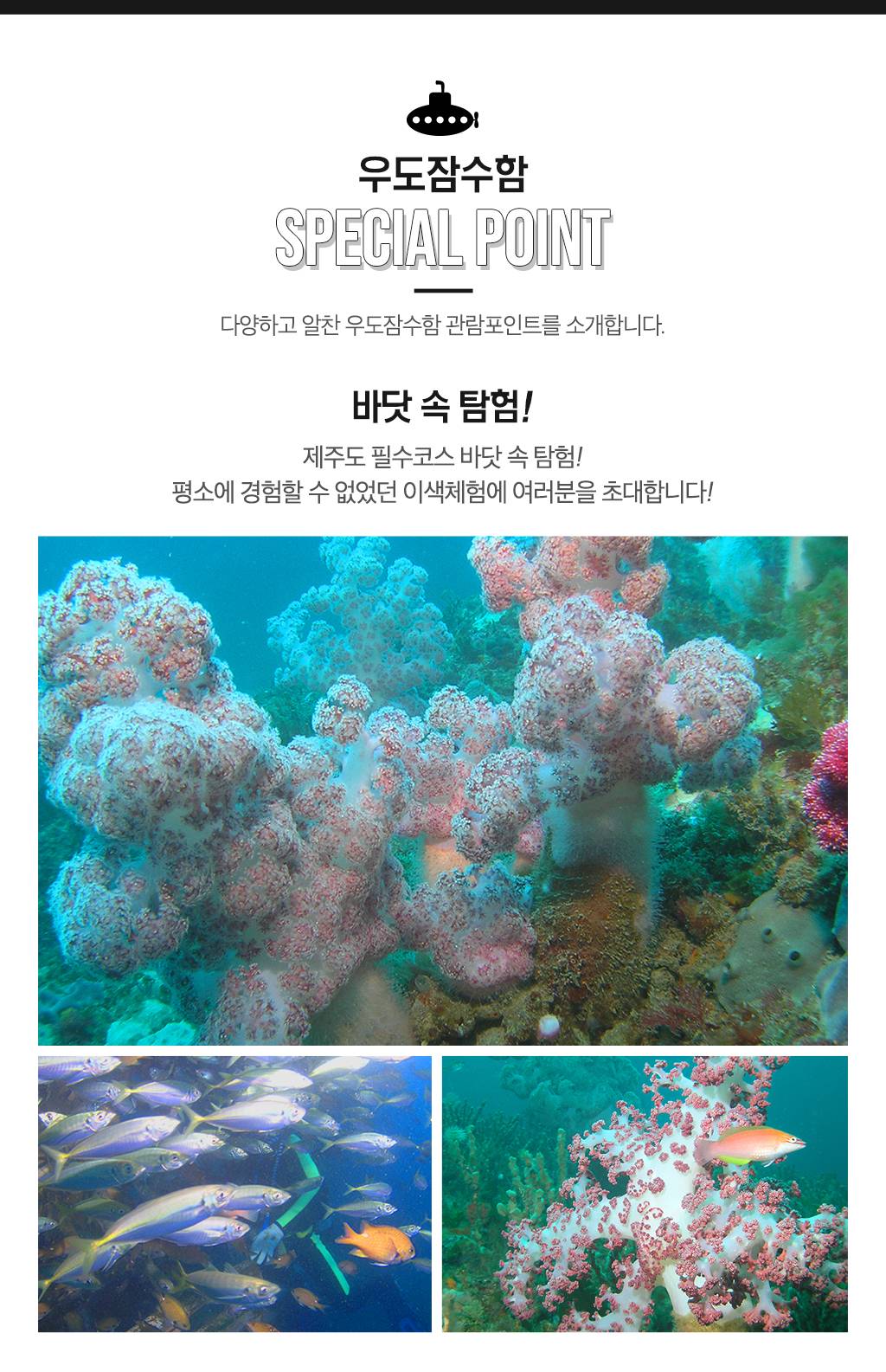 상품 상세 이미지 3