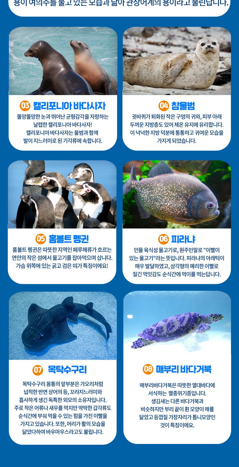 상품 상세 이미지 9