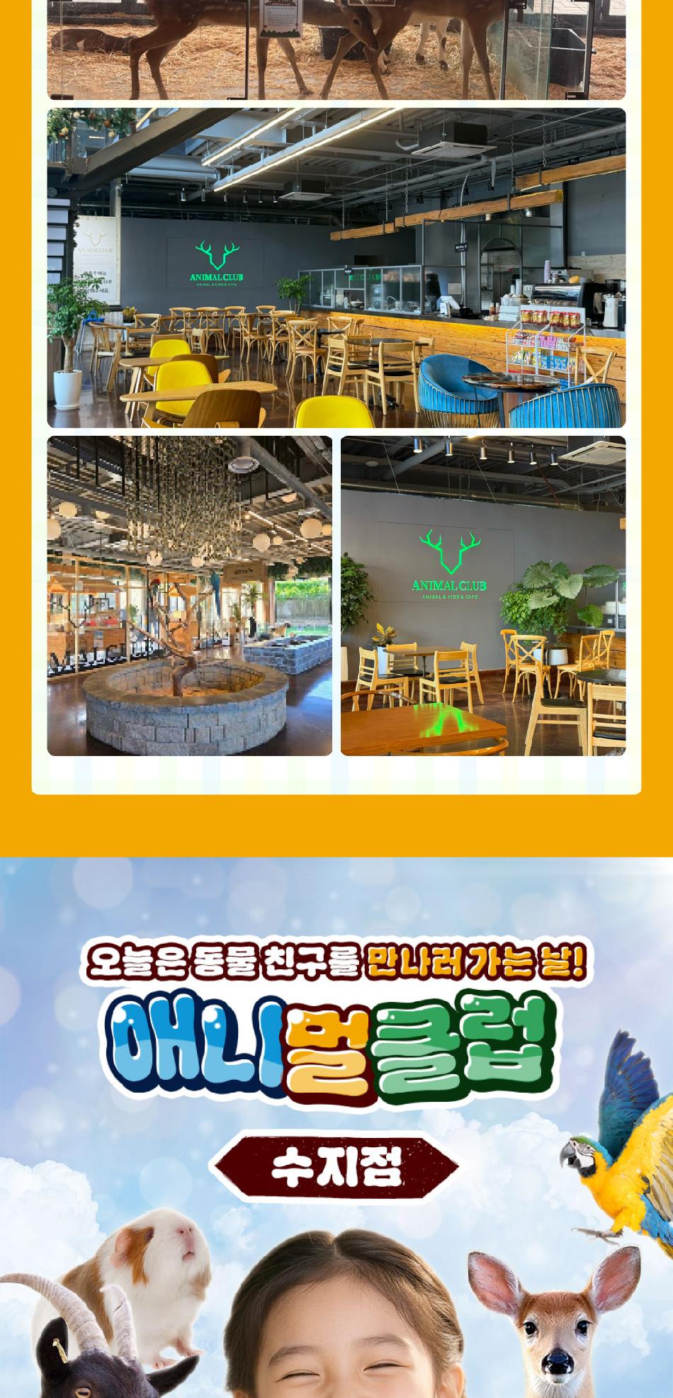 상품 상세 이미지 8
