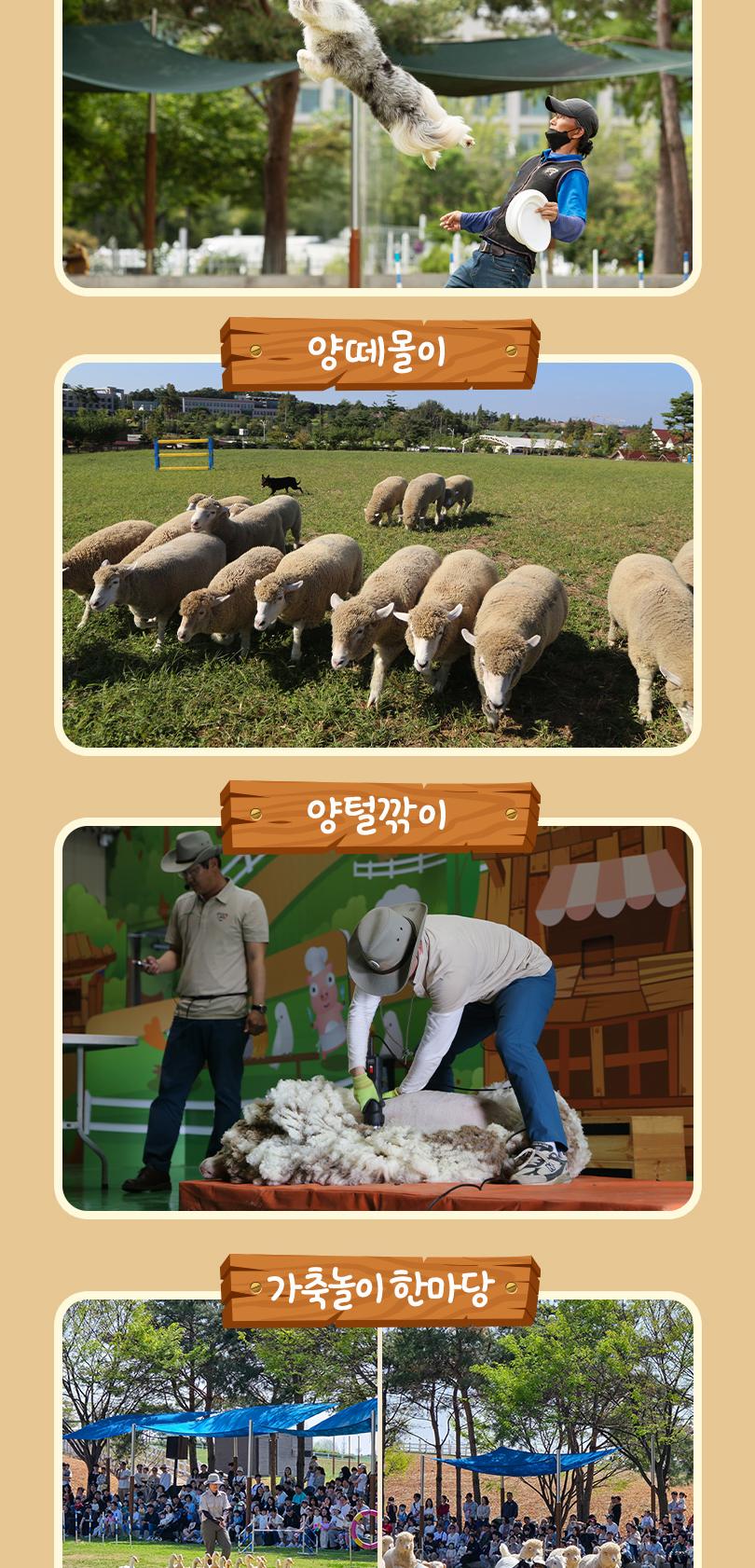 상품 상세 이미지 13