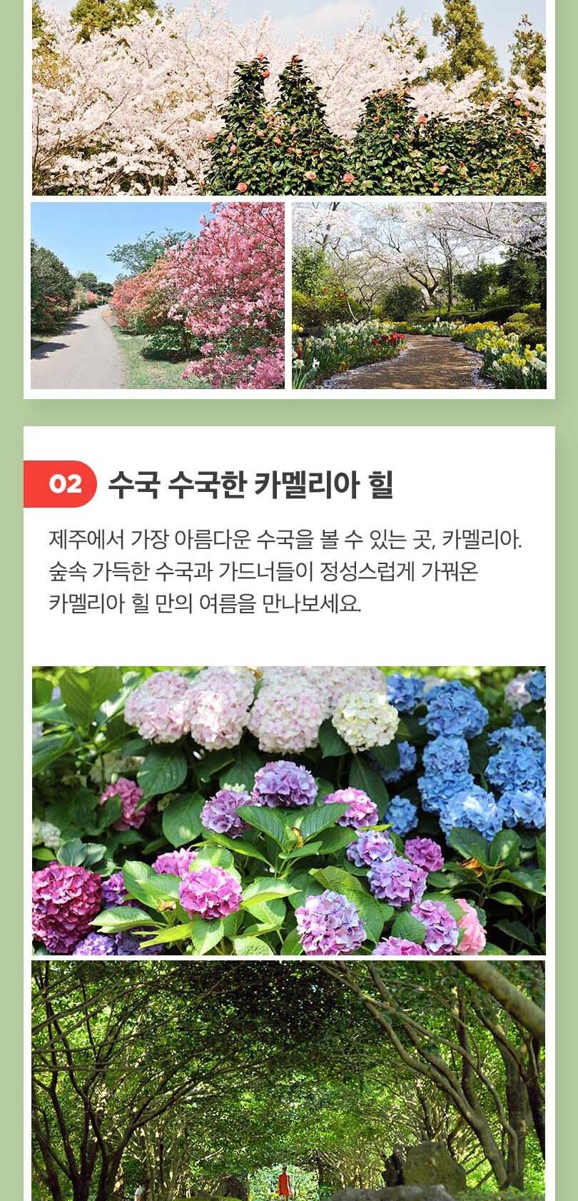 상품 상세 이미지 5