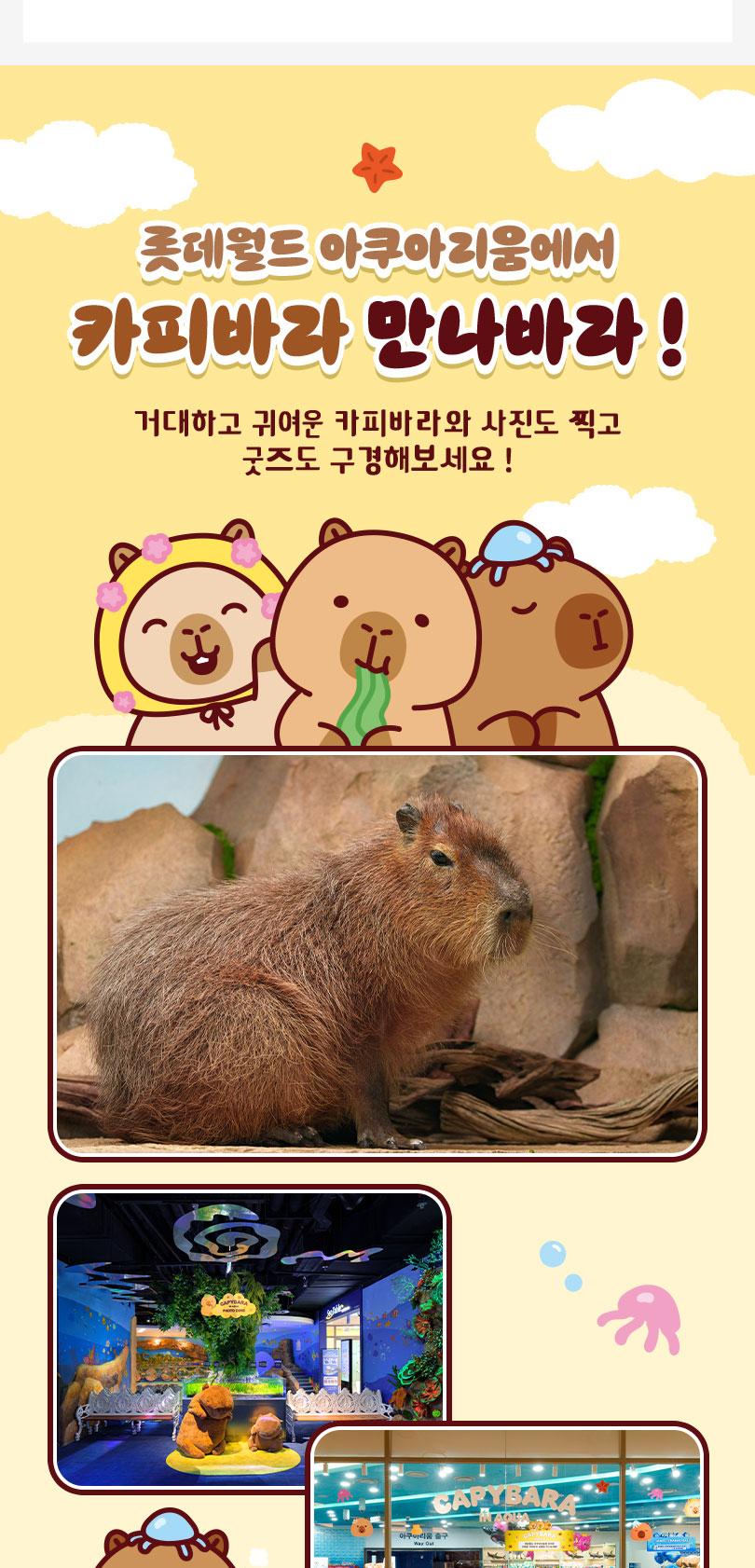 상품 상세 이미지 6