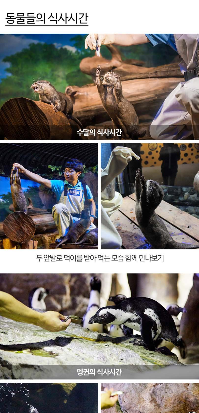 상품 상세 이미지 13